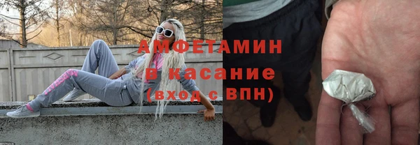 сатива Алзамай