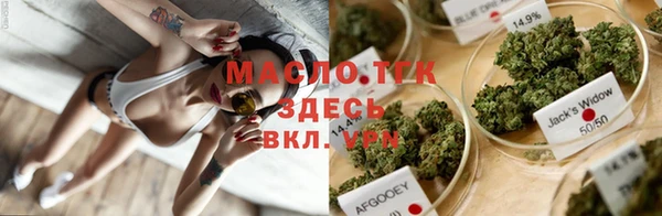 СК Алексин