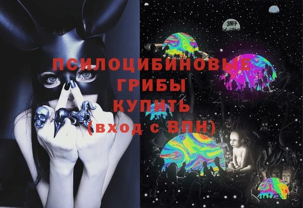 сатива Алзамай