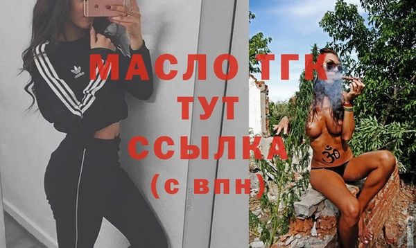 СК Алексин