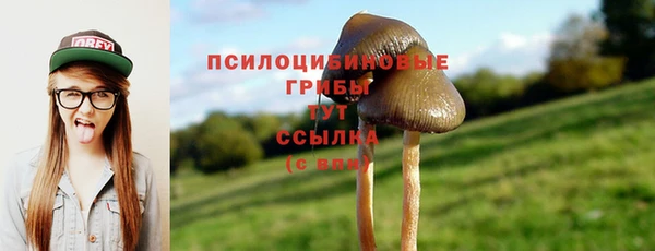 СК Алексин