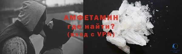 СК Алексин